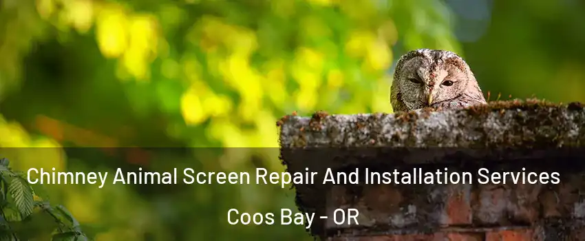  Chimney Animal Screen Repair And Installation Services Coos Bay - OR